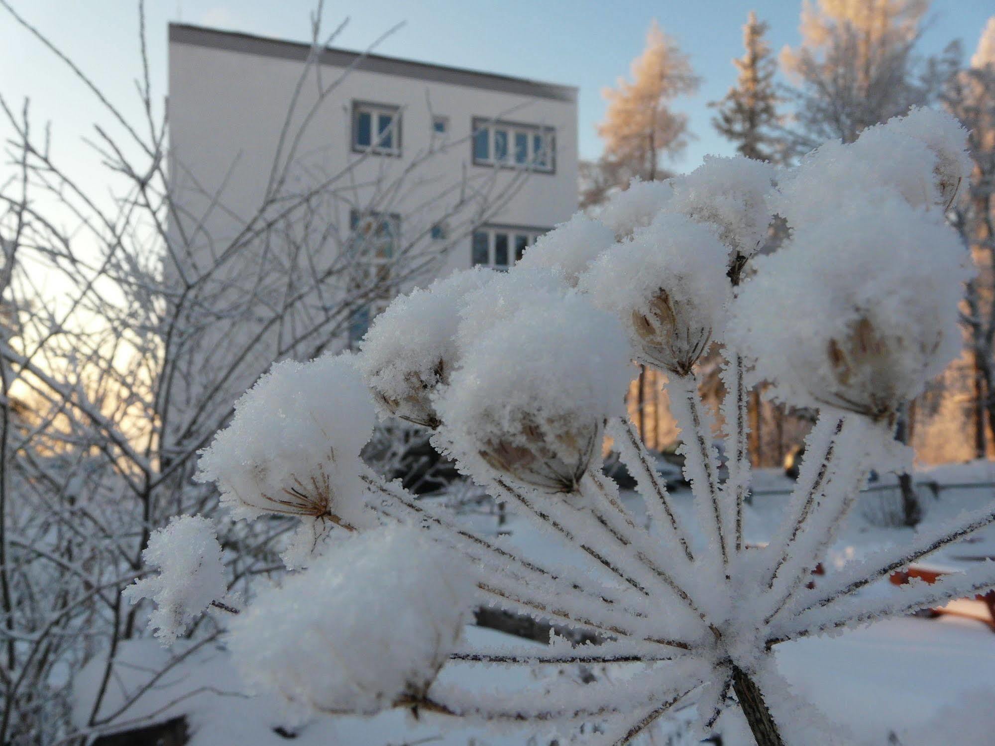 Vila Emma Štrbské Pleso Exterior foto